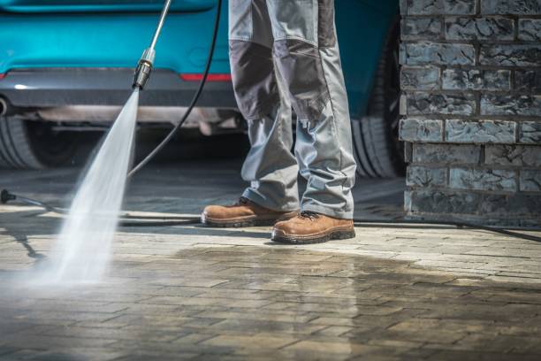 Best Driveway Pressure Washing  in Palm Harbor, FL